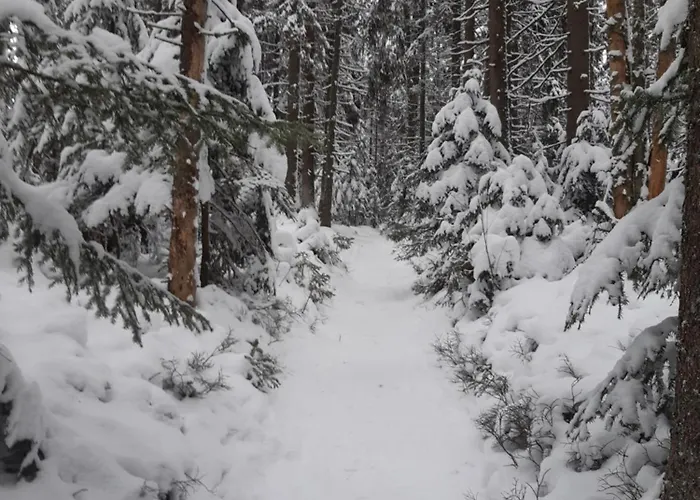 بيت للعطل Pool And Relax بروك أن دير مور