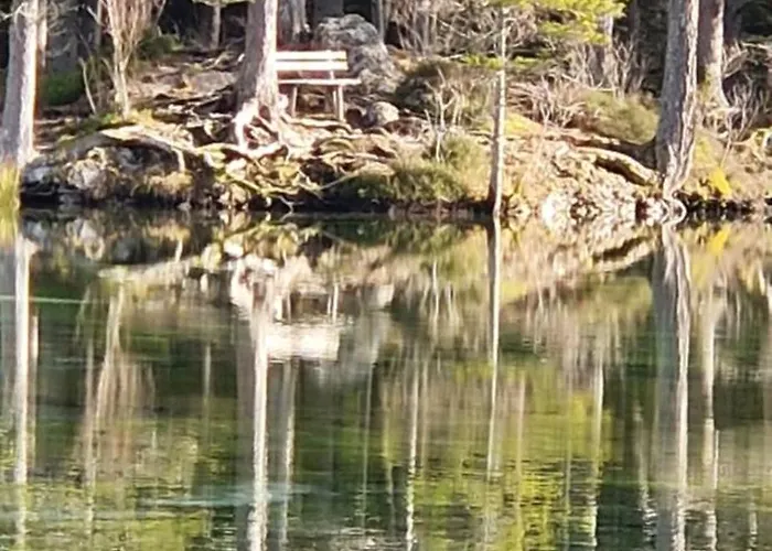 بيت للعطل Pool And Relax بروك أن دير مور